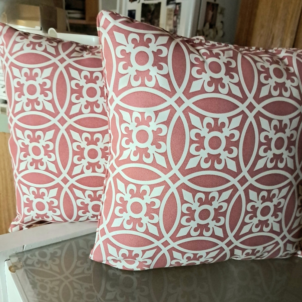 Two beautiful pillows mint condition 17X17 "